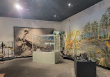 BYU Museum of Paleontology