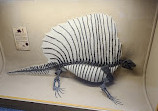 BYU Museum of Paleontology