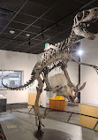 BYU Museum of Paleontology