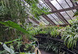 Glasgow Botanic Gardens