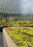 Glasgow Botanic Gardens