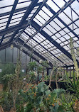 Glasgow Botanic Gardens