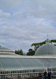 Glasgow Botanic Gardens