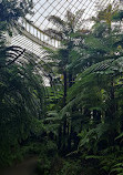 Glasgow Botanic Gardens