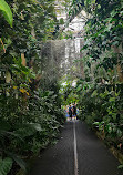 Glasgow Botanic Gardens