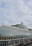 Glasgow Botanic Gardens