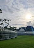 Glasgow Botanic Gardens