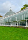 Glasgow Botanic Gardens