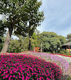 Jardín Japonés