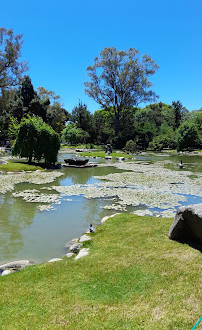 Jardín Japonés