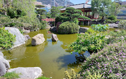 Princess Grace Japanese Garden