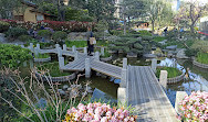 Princess Grace Japanese Garden