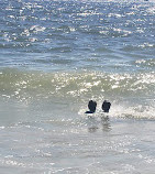 Manasquan Beach