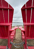 Humber Bay Arch Bridge