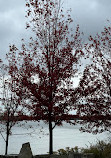 Humber Bay Arch Bridge