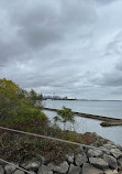 Humber Bay Arch Bridge