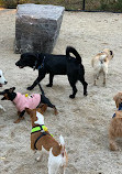 Bronx River Park Dog Run