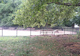 Bronx River Park Dog Run