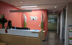 Tao Solutions Inc