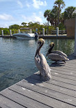 Pelican Pavilion