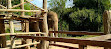 Somnuk Elephant Camp