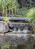 Australian Botanic Garden Mount Annan