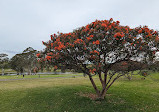 Australian Botanic Garden Mount Annan