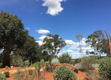 Connections Garden