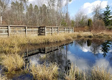 Richmond Nature Park