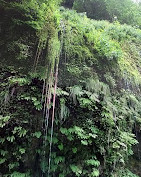 Multnomah Falls Recreation Area