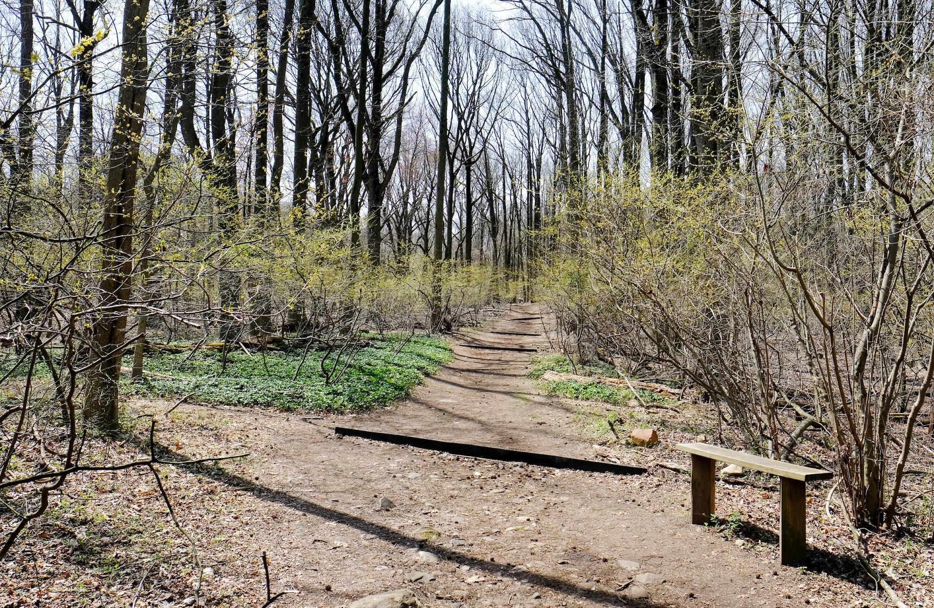 Latourette Park