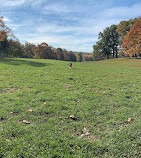 Prospect Park Dog Beach