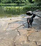 Prospect Park Dog Beach