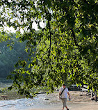 Prospect Park Dog Beach