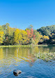 Prospect Park Dog Beach