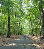 North Mount Loretto State Forest