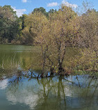 North Mount Loretto State Forest