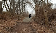 North Mount Loretto State Forest