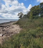 North Mount Loretto State Forest