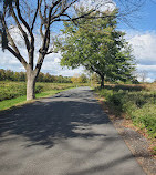 North Mount Loretto State Forest