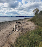 North Mount Loretto State Forest