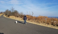 North Mount Loretto State Forest