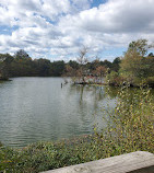 North Mount Loretto State Forest