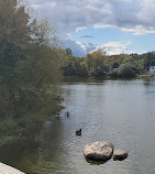 North Mount Loretto State Forest