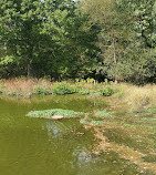 North Mount Loretto State Forest