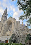 Basilica of the National Shrine of the Immaculate Conception