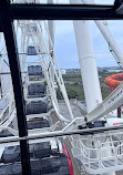 Dream Wheel NJ Attraction Ferris Wheel