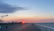 Jones Beach State Park