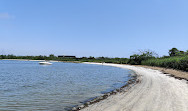 Jones Beach Field 10