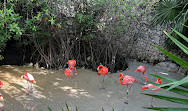 Xcaret Park